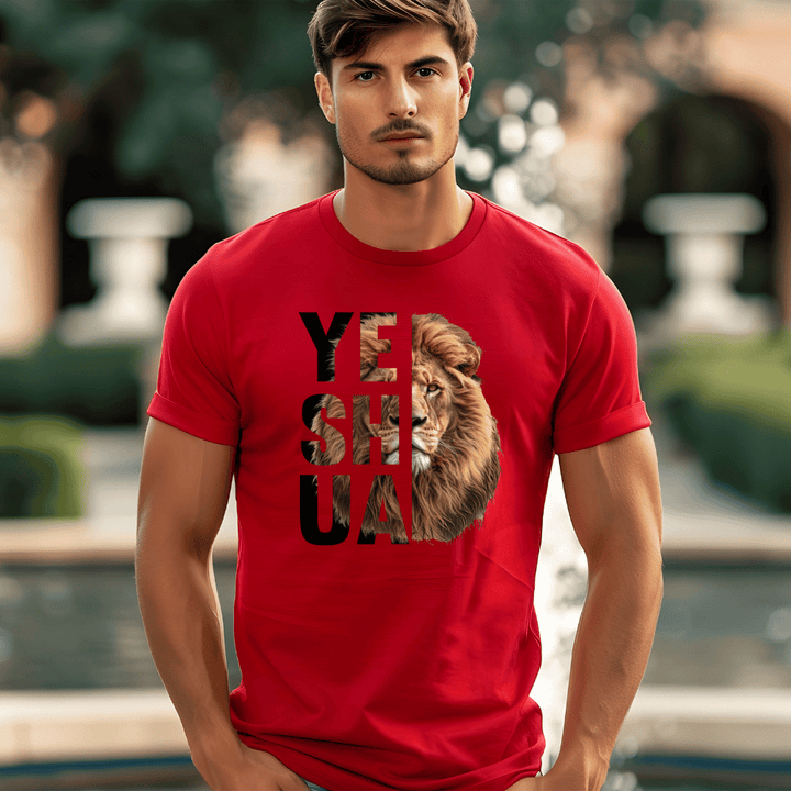 Male t-shirt