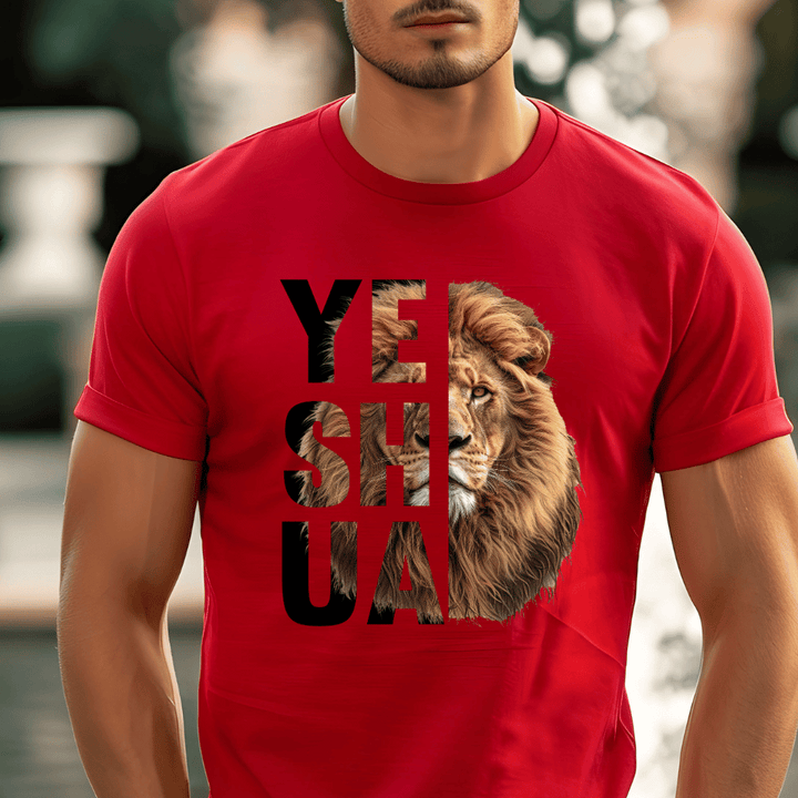 Male t-shirt